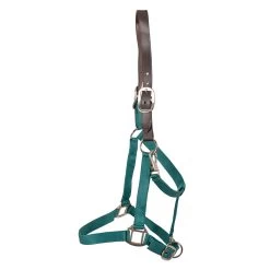 Supra Leather Crown PP Halter W/ Breakaway -Horse Supplies Store gh 56125cb2 28b8 4120 99da 58e7ae2aa30f
