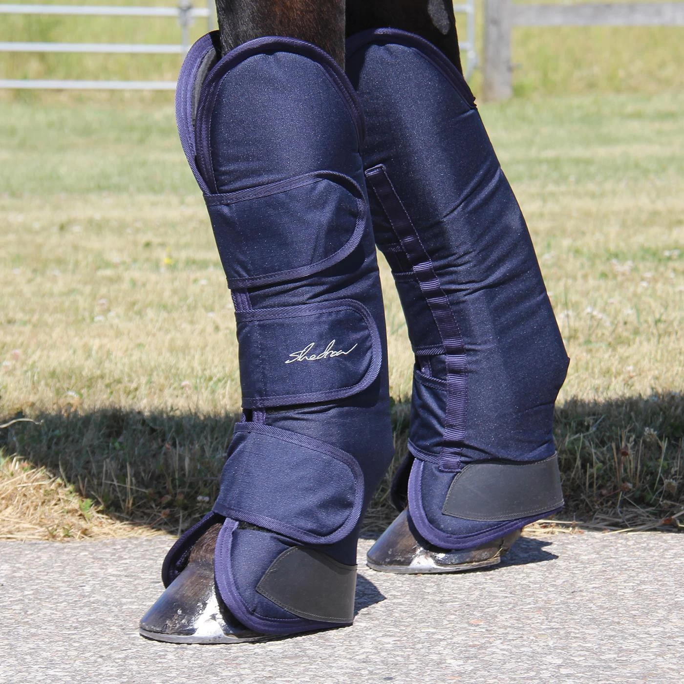 Shedrow Pro Shipping Boots 5 Shedrow Pro Shipping Boots - Image 3