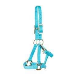 Shedrow Mini Nylon Halter -Horse Supplies Store gh 67d127e6 fe3b 493c 9dcf ab0d45570f92