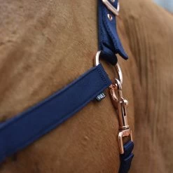 Shedrow Rose Gold Sheepskin Lined Halter -Horse Supplies Store gh 689fc5f1 18e4 4456 af0e 40a25a0ca728