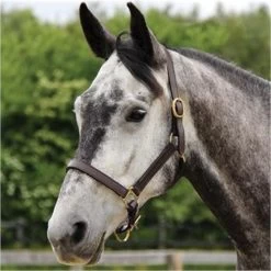 Connemara Leather Halter -Horse Supplies Store gh 6bacbe8e 6b9f 4a03 b23b df970a382bc9