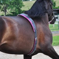 Supra Smart Lunge Set -Horse Supplies Store gh 71b4ebe1 aa1f 4f1b a86b c1a518f72a56