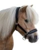 Waldhausen Star Diamond Leather Halter -Horse Supplies Store gh 7b535c22 7be7 4c44 832f f665ec73ac5e