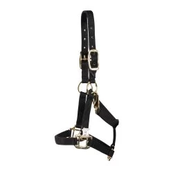 Shedrow Mini Nylon Halter