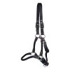Shedrow Nylon & Leather Halter 1 Shedrow Nylon & Leather Halter -Horse Supplies Store gh 87c802ff 4537 4332 99ee c03078ad9d25