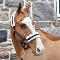 Shedrow Rose Gold Sheepskin Lined Halter -Horse Supplies Store gh 889c51f6 00ab 49da 961a d17a5baa61ce