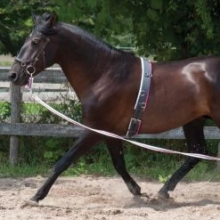 Supra Smart Lunge Set -Horse Supplies Store gh 9a7aa67f 672c 45fc b652 b8387da9fef2