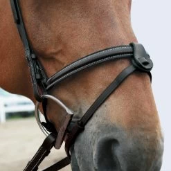 Connemara Flash -Horse Supplies Store gh a2272c25 af54 4089 9e9e aa7745a1f6f0