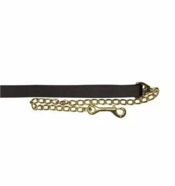 Shedrow 1 In. Deluxe Lead W/ Chain