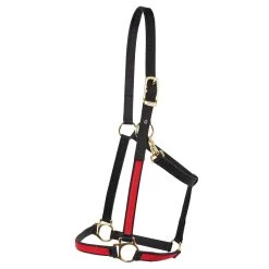 Extreme Two Tone Nylon Halter