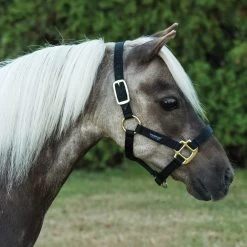 Shedrow Mini Nylon Halter -Horse Supplies Store gh b7093b48 e704 476d a8ac 39e7b78ed448