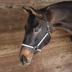 Extreme Two Tone Nylon Halter -Horse Supplies Store gh b944f9f9 252c 4bb3 a0ef bc3c77f31b3d