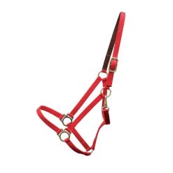 Shedrow Deluxe 3/4 In. Halter -Horse Supplies Store gh ba45ff68 c0e3 45cb bc2b 33a539aa5405