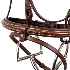 Val Du Bois Padded Fancy Stitched Bridle W/ Removable Flash -Horse Supplies Store gh bae1a71d 5f68 47d2 8a4b e63131189f6c
