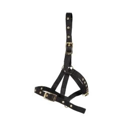 Supra Foal Halter