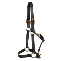 Connemara Leather Halter