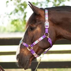 Shedrow Ribbon Halter -Horse Supplies Store gh c813fcaa bbe2 4143 a7b2 2613fcb1aac0