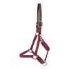 Supra Leather Crown PP Halter W/ Breakaway -Horse Supplies Store gh d823d856 25b3 4b6a bb9a d29f5b2dd824