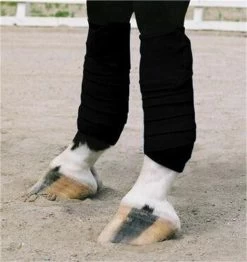 Vac's Polo Bandages - Pony -Horse Supplies Store gh d9928bd8 0062 4508 b8ad bf4406da9b35
