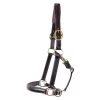 Val Du Bois Padded Leather Halter -Horse Supplies Store gh df92a32b 2c10 40f7 ba85 22d8b3299db8