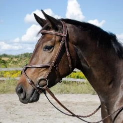 Val Du Bois Padded Fancy Stitched Figure-8 Bridle -Horse Supplies Store gh e4bb0c14 147d 416b 8102 33617b751d65