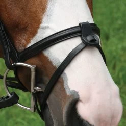 Val Du Bois Flash -Horse Supplies Store gh ee10a27e c5a6 428d 9681 36d79e42869d