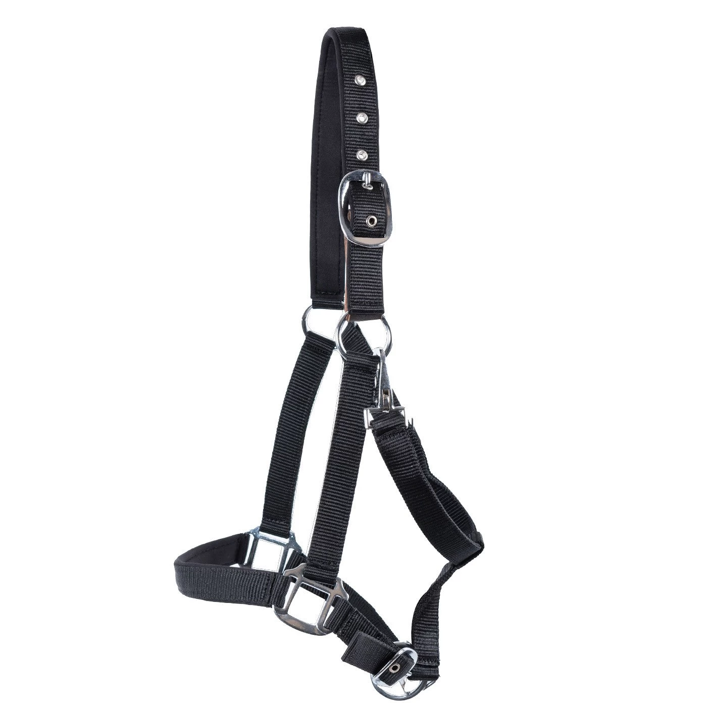 Supra Neoprene Padded W/ Breakaway Halter 5 Supra Neoprene Padded W/ Breakaway Halter - Image 3