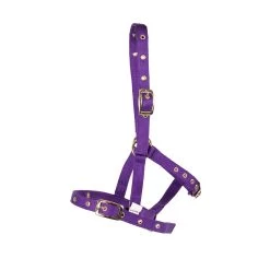 Supra Foal Halter -Horse Supplies Store gh fe6d3bc0 9993 4d19 8fd0 d35d5b3d2f23