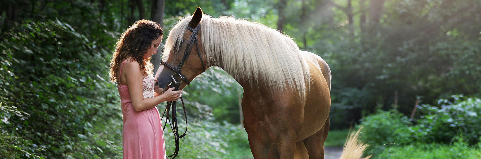 Horse Supplies Store 1 Horse Supplies Store -Horse Supplies Store 1