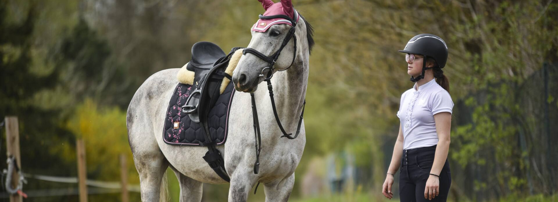 Horse Supplies Store 17 Horse Supplies Store -Horse Supplies Store 2